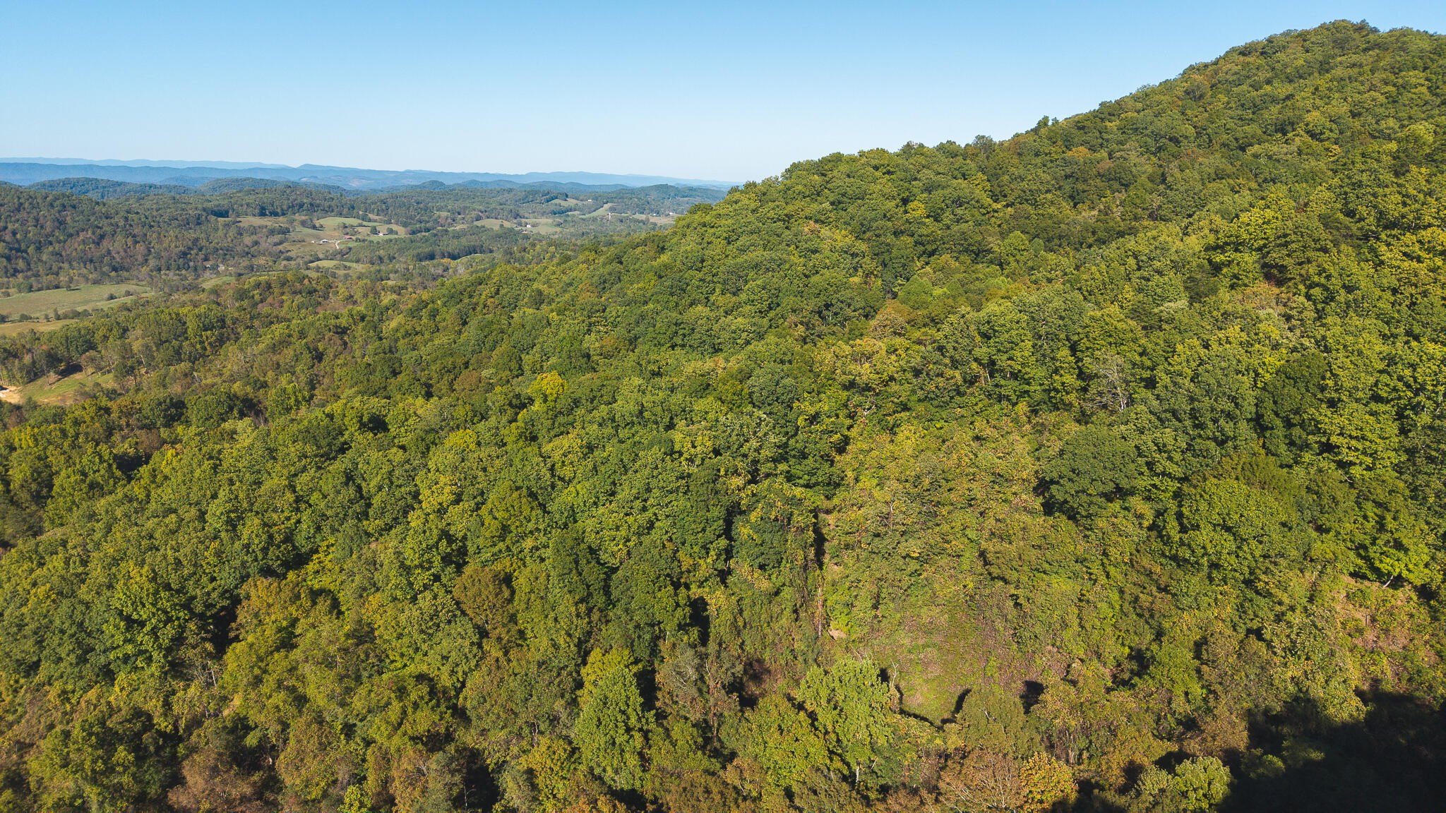 Secluded Mountain Land with Timber