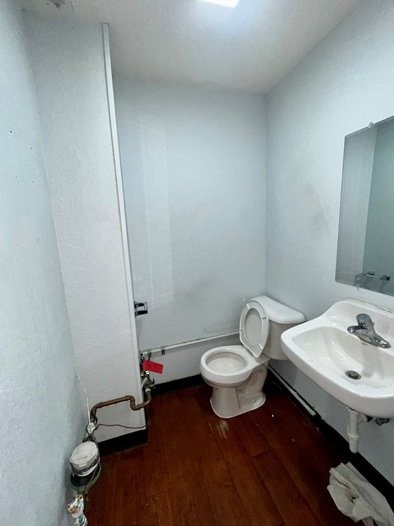 Picture 7