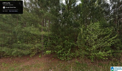 Residential Lot in Trussville, AL
