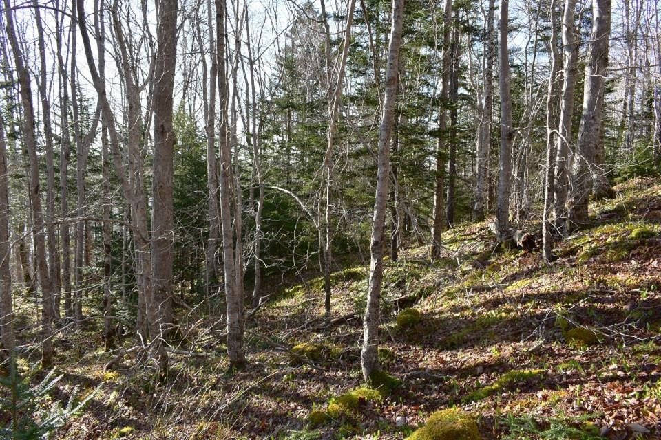 Picture 8