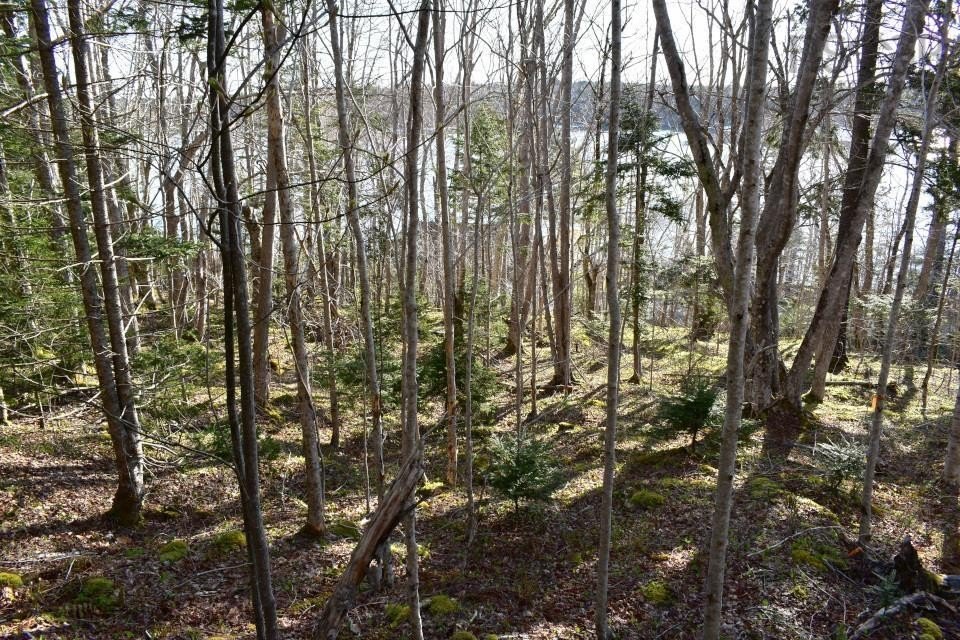 Picture 7