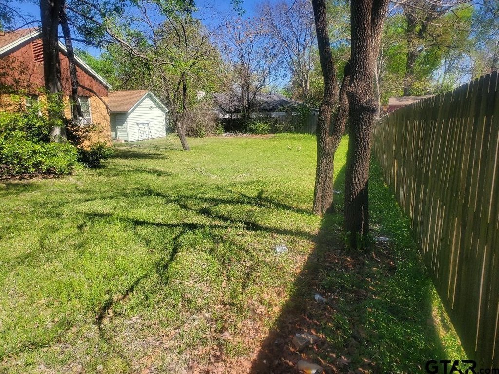 Picture 5