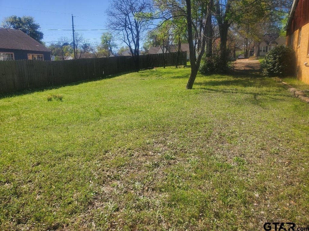Picture 11