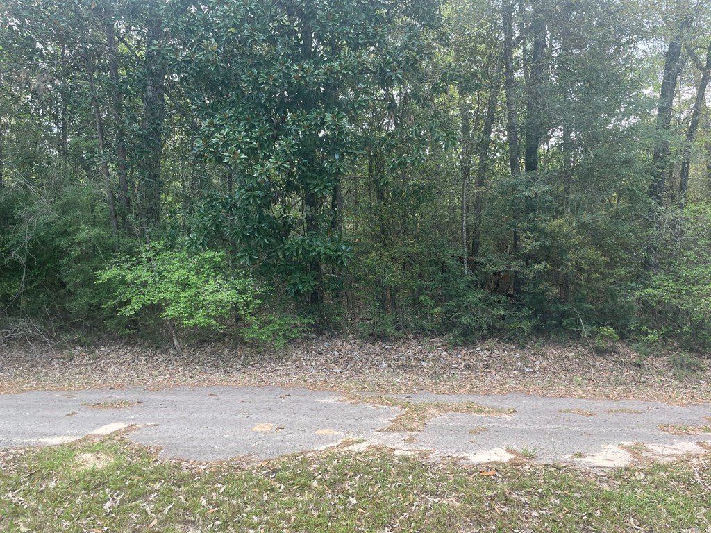 Picture 6