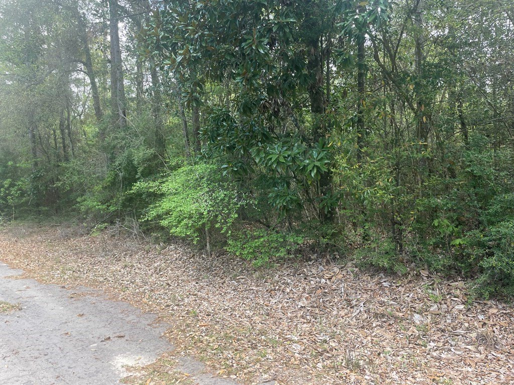 Picture 4