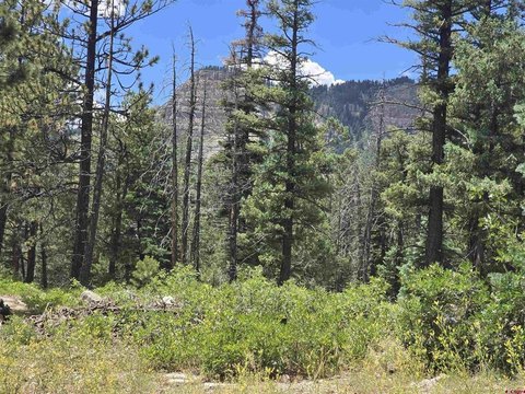 Durango, CO Land For Sale