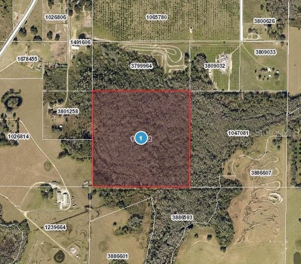 40 Acres of Raw Land