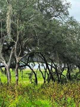 Land, DUNNELLON, FL