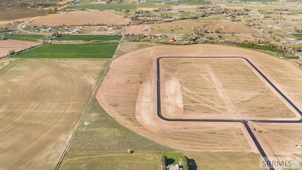 Picture 15
