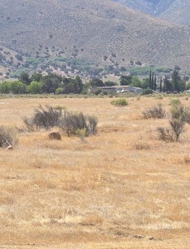 Undeveloped Land in Weldon, CA