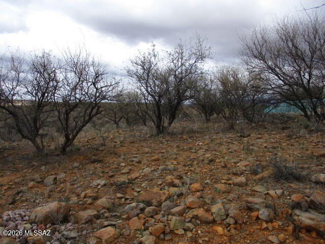 Rio Rico Ranchettes Land