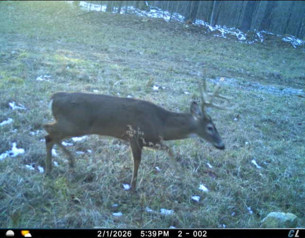 Picture 11