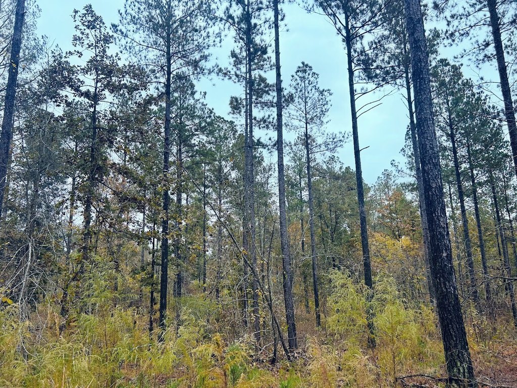 Picture 23