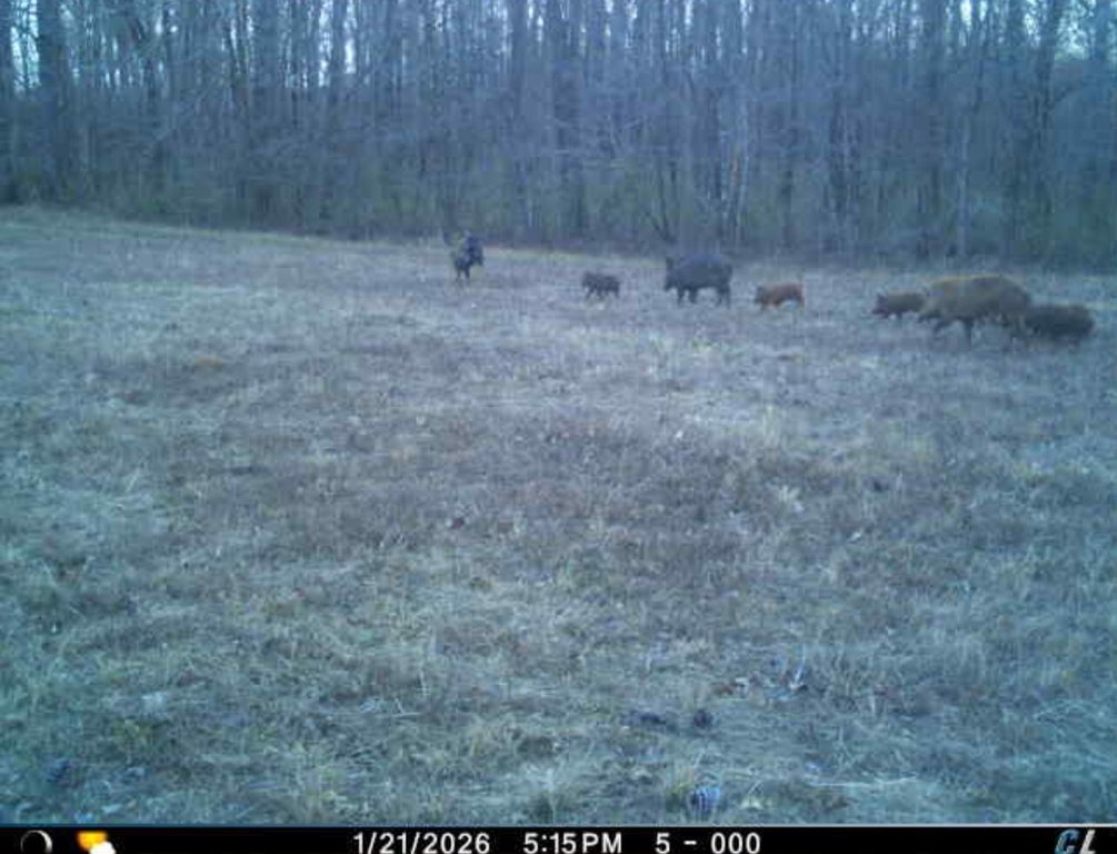 Picture 10