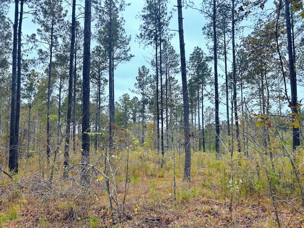 Picture 22