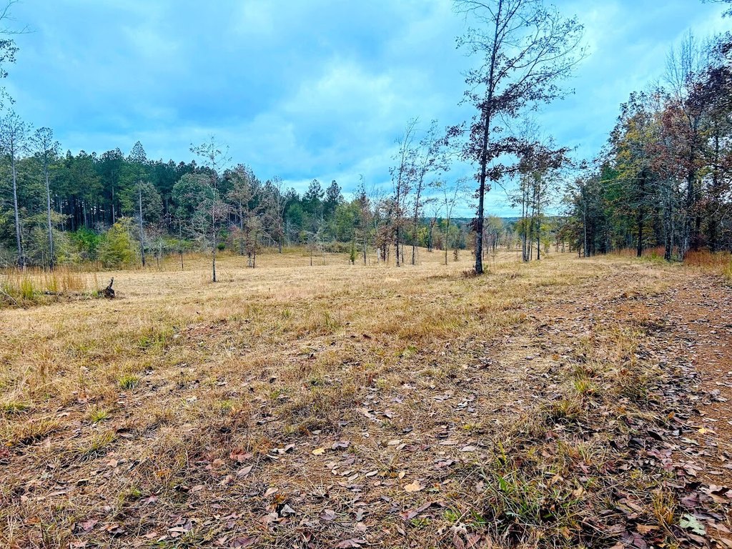 Picture 8