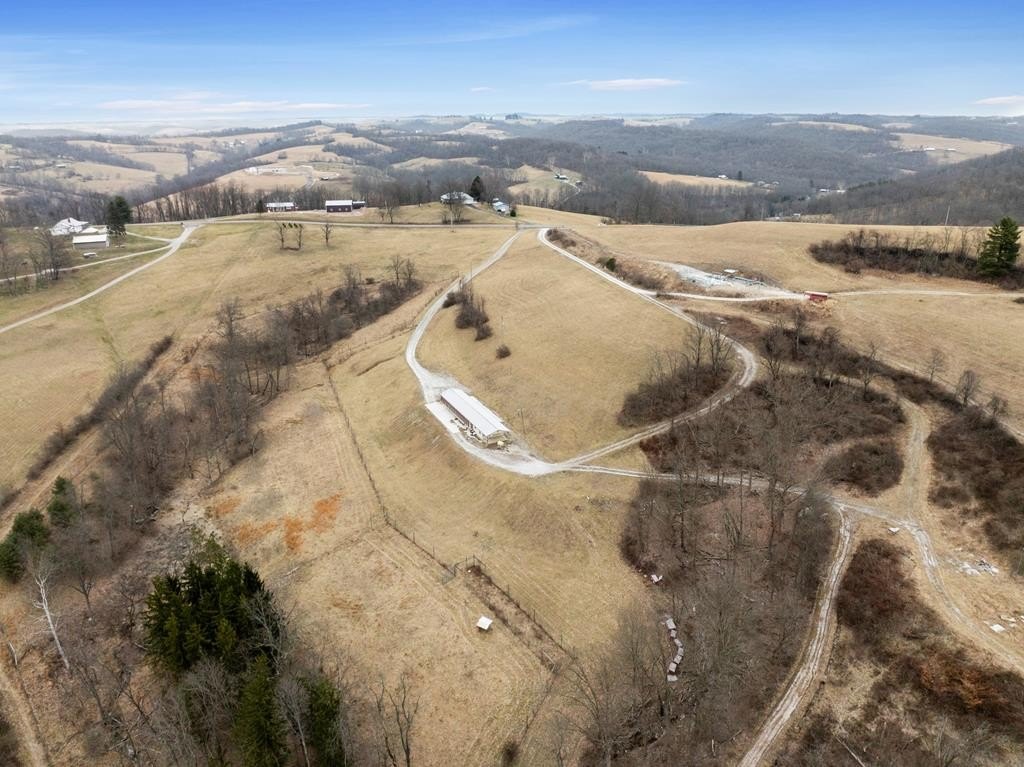 Picture 25
