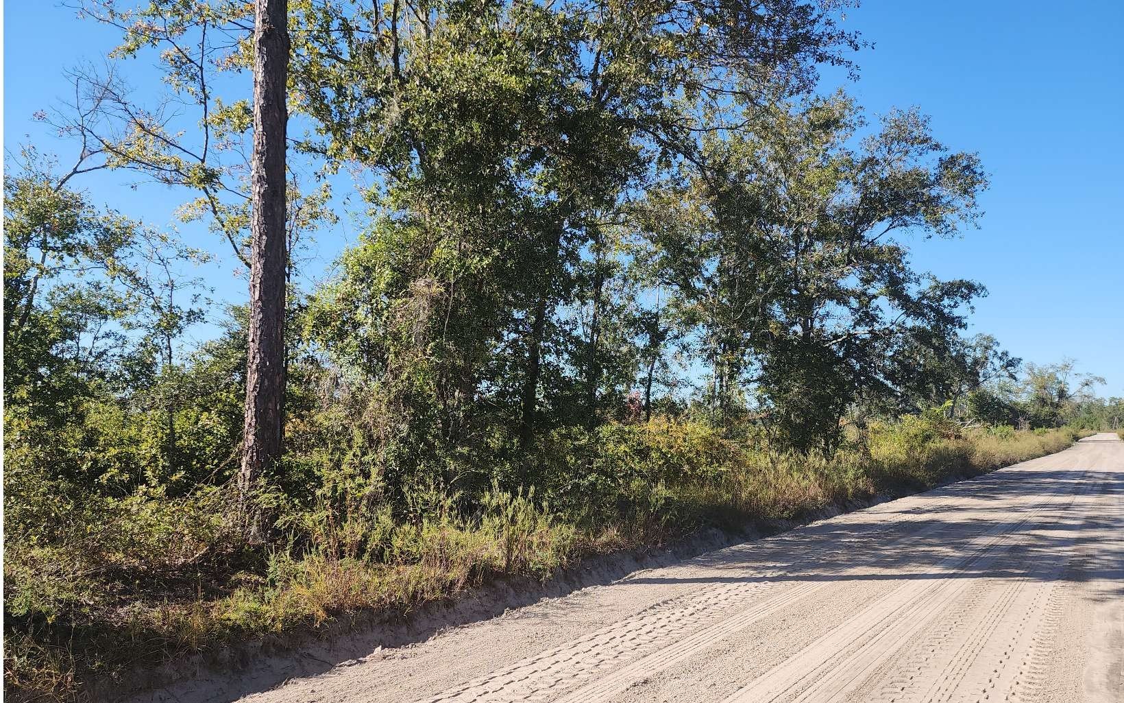 40 Acres Agricultural Land Parcel