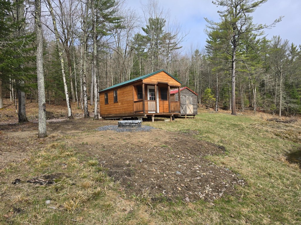 Picture 6