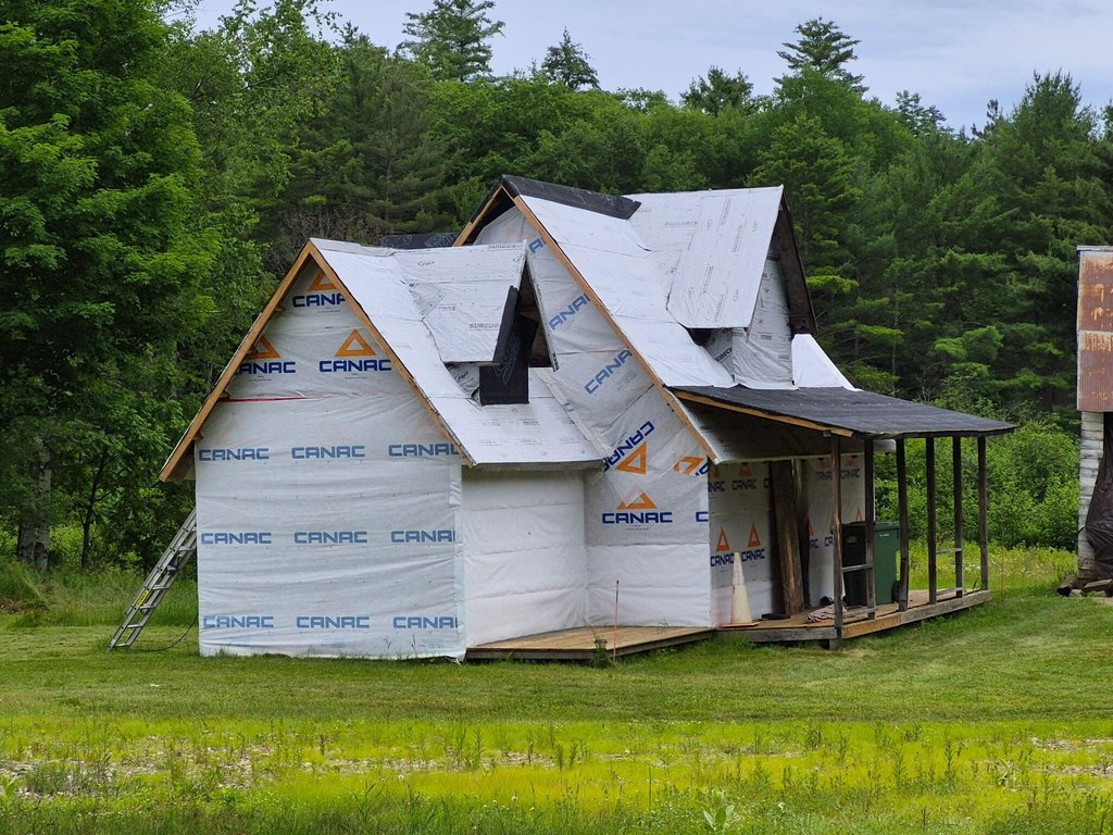 Picture 11