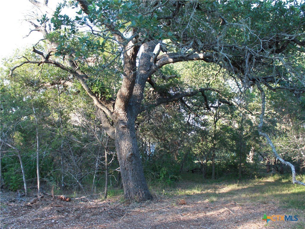 Picture 27