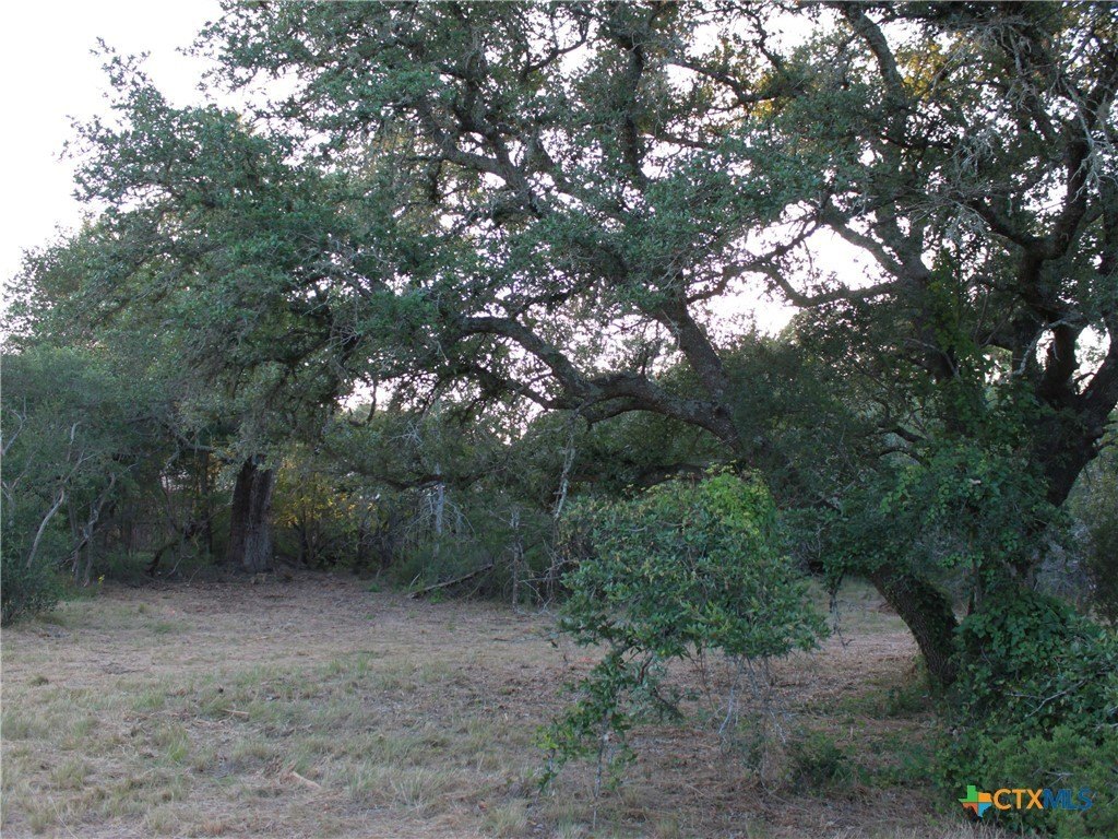 Picture 25