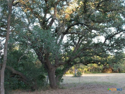 Cleared Hill Country Homesite