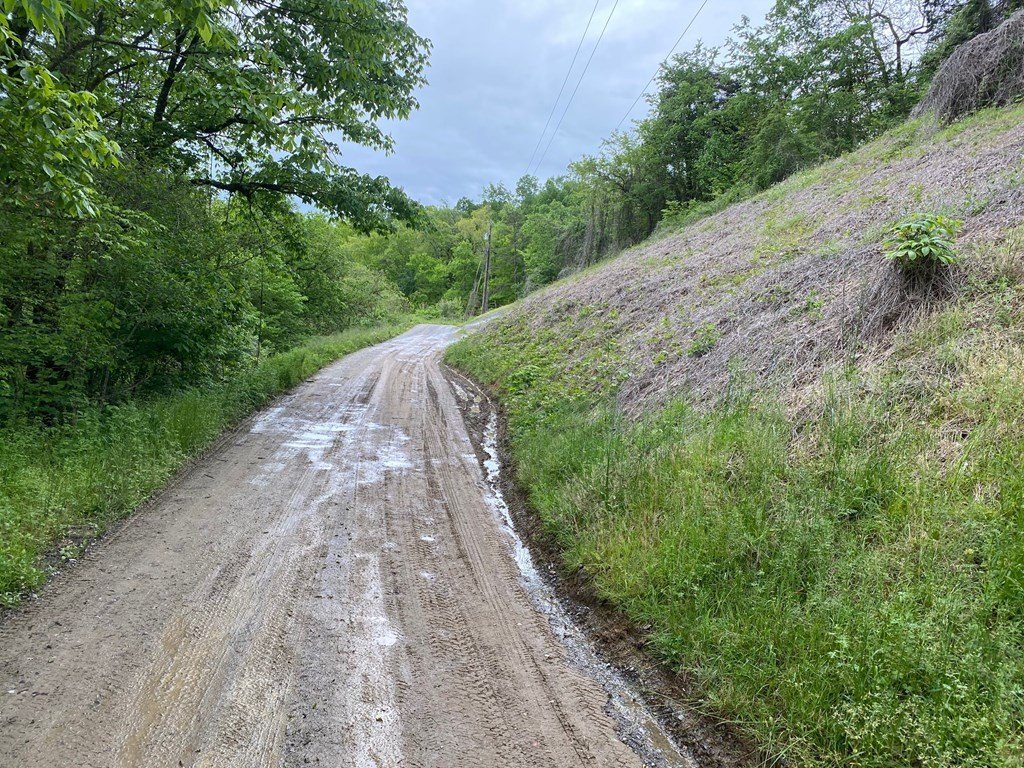 Picture 3