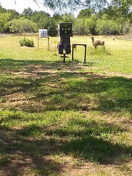 Secluded Cattle and Hunting Farm
