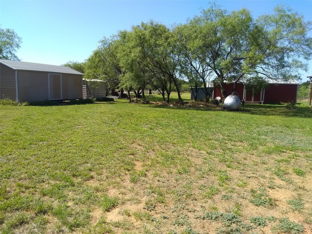 Picture 17