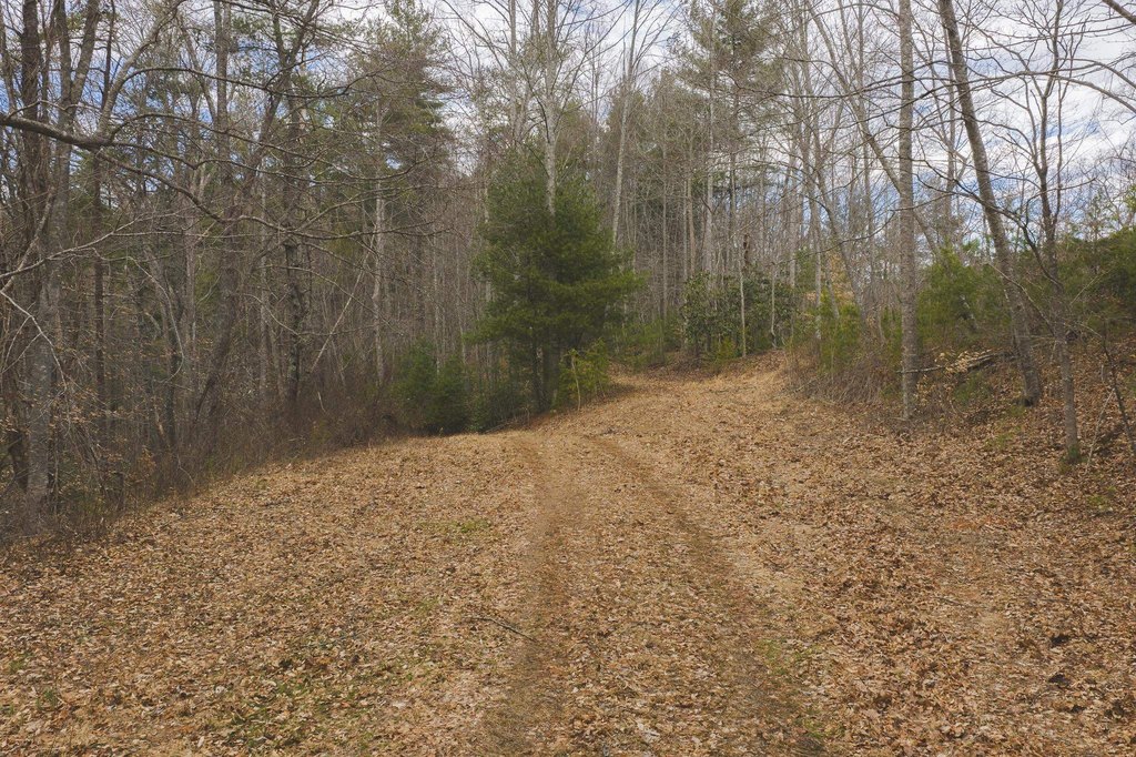 Picture 28