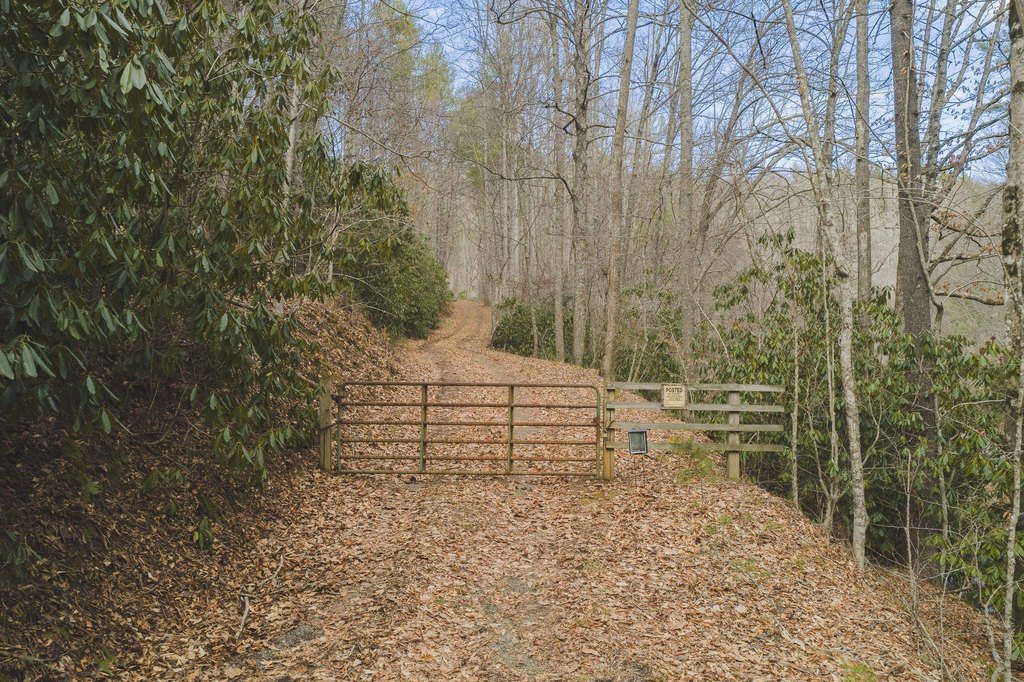 Picture 41