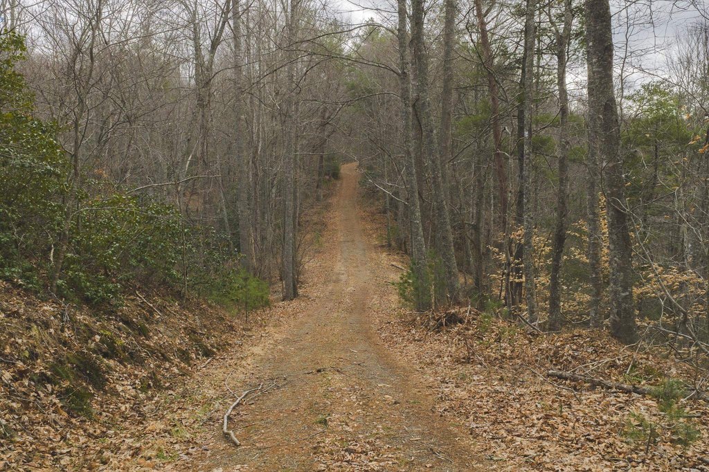 Picture 27
