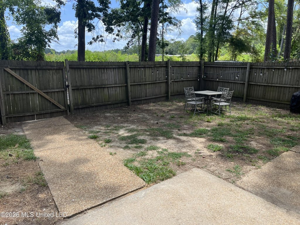 Picture 17