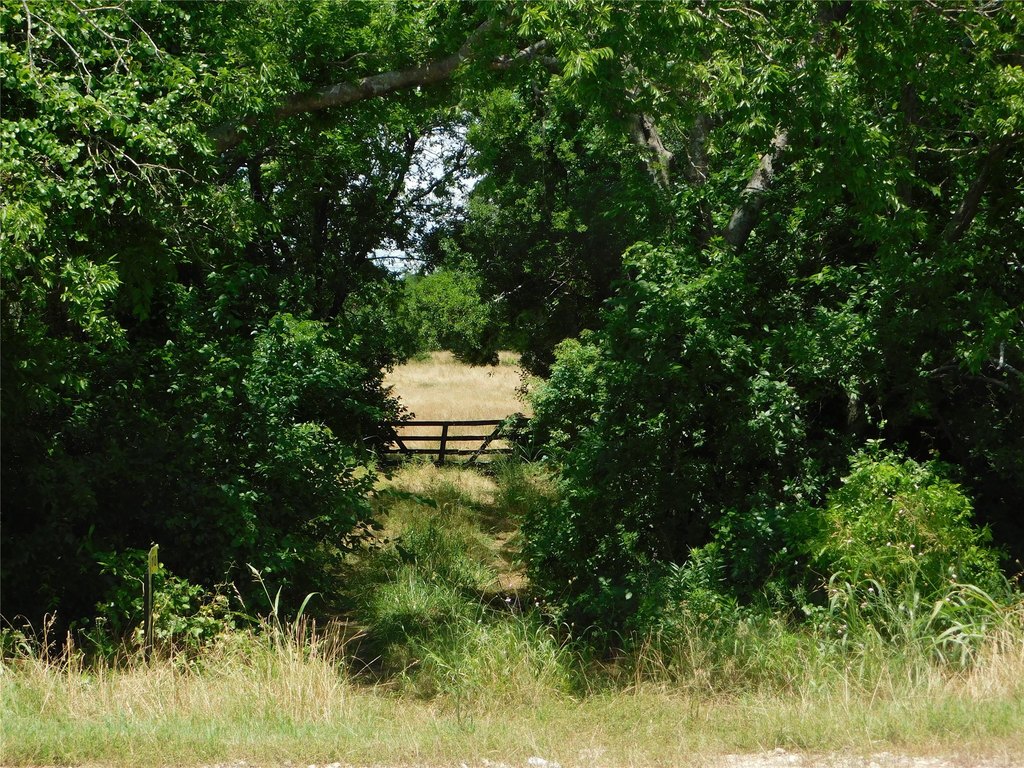 Picture 11