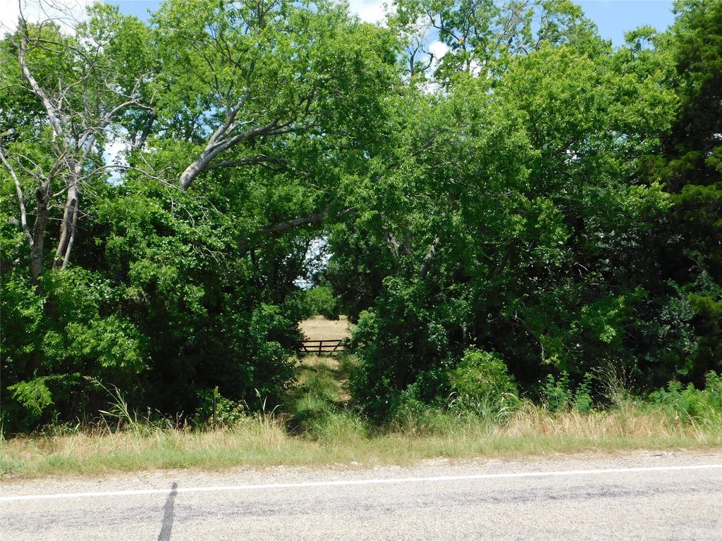Picture 12