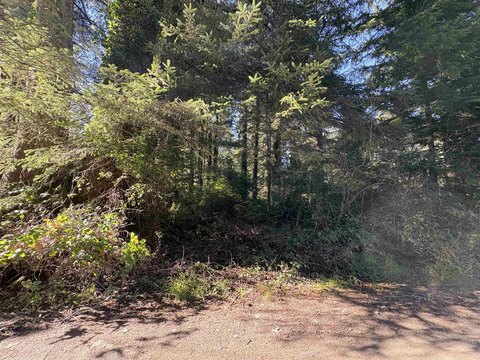 One Acre Treed Residential Land