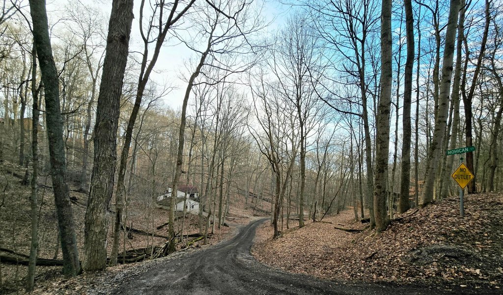 Picture 6