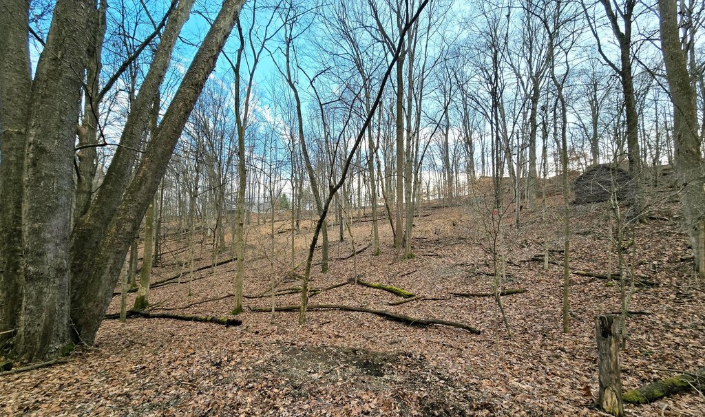 Picture 2