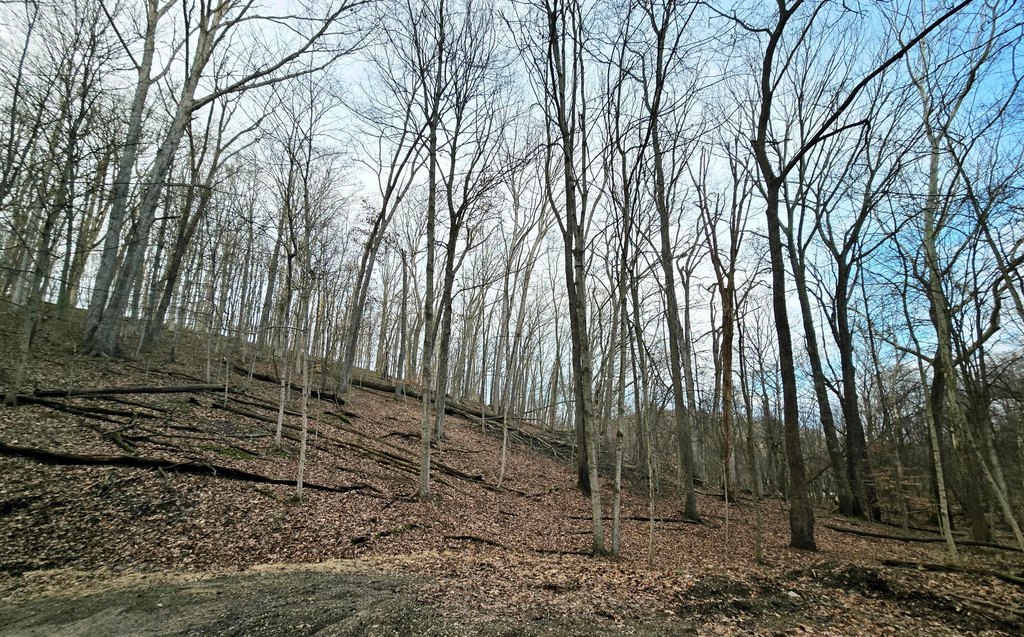 Picture 3