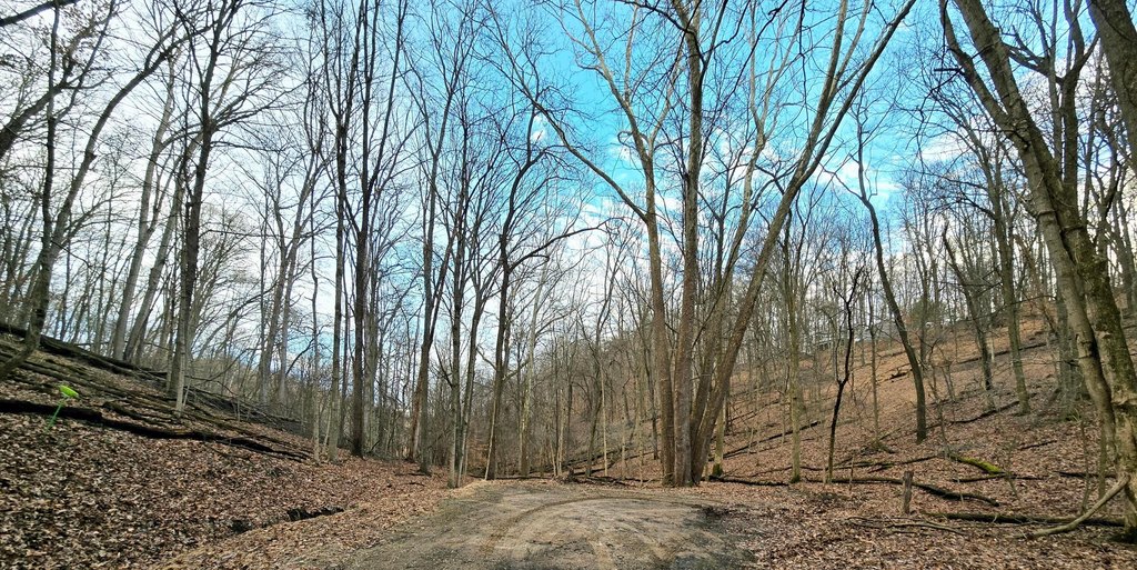 Picture 5