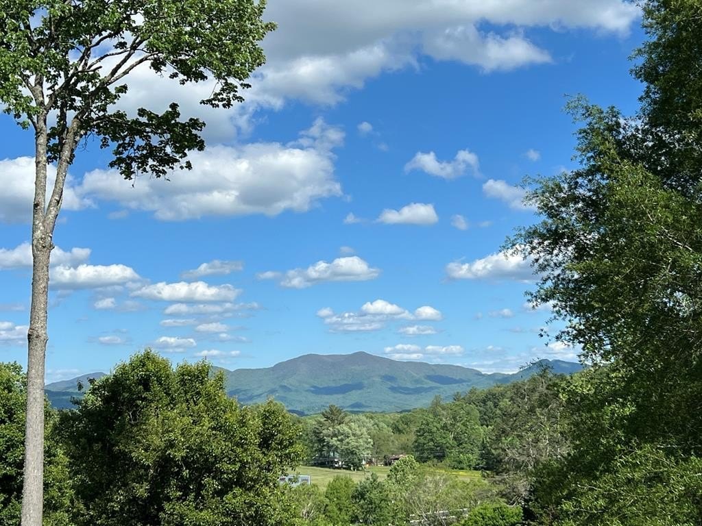 Hayesville, NC View Lot
