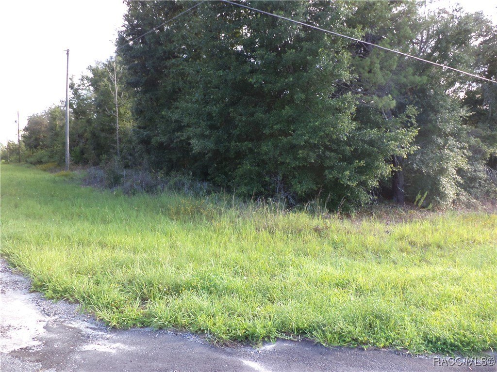 Corner Lot in Citrus Springs