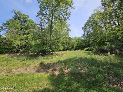 Scenic Wooded Land Near Neosho