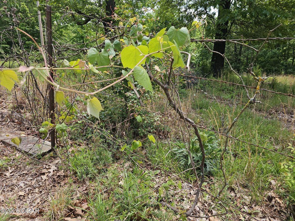 Picture 4