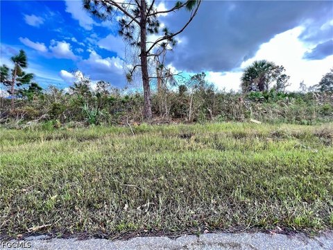 Land, Port Charlotte, FL