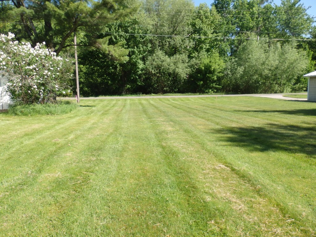 Picture 3