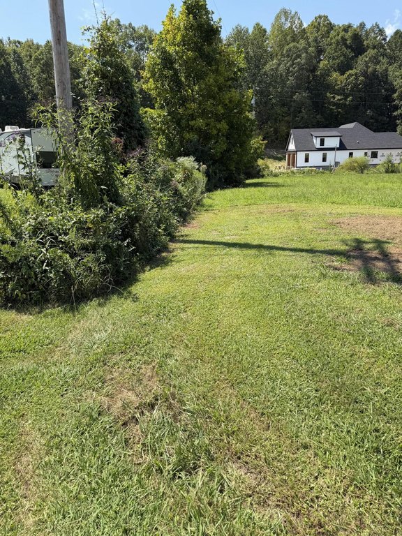 Picture 25