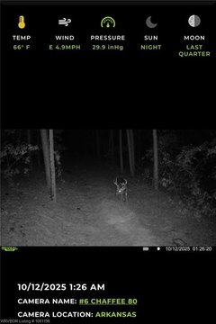 Booneville Hunting Land with Creek