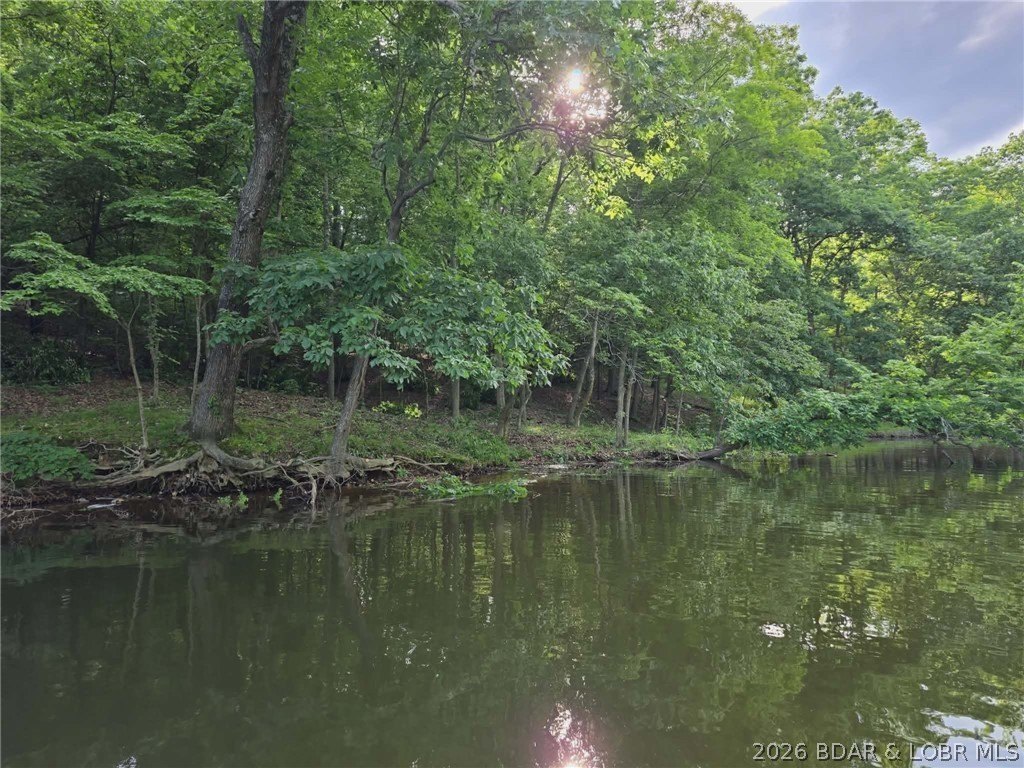 Picture 21